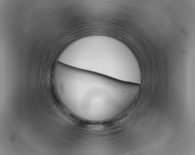 X0000112020266200908031047