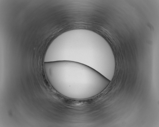 X0000112020267200908031047