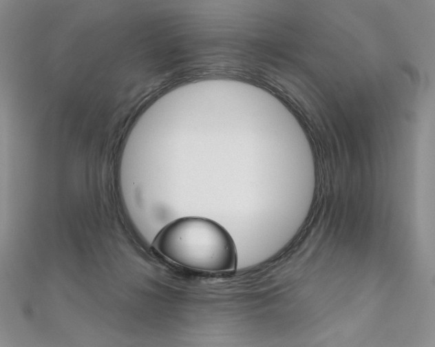 X0000112020268200908031047