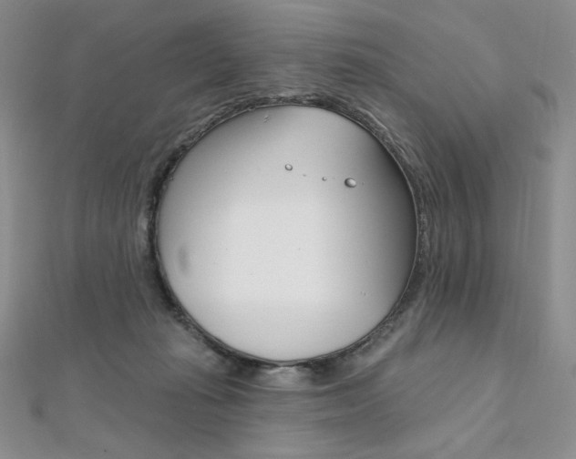 X0000112020269200908031047