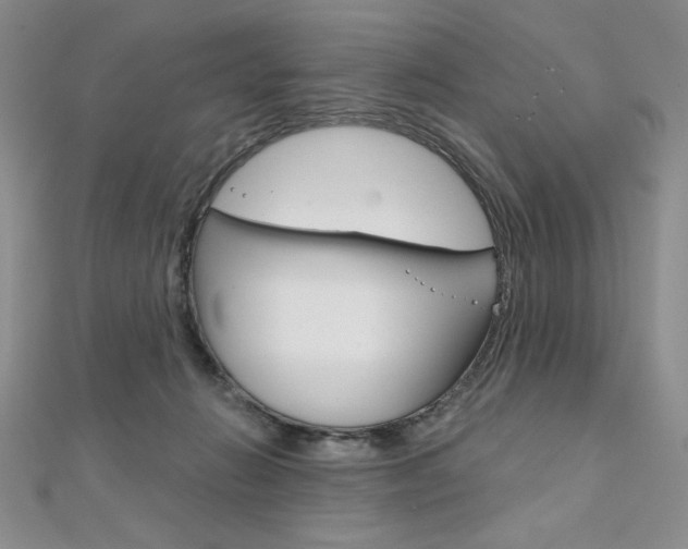 X0000112020270200908031047