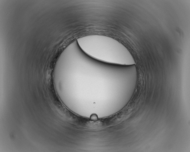 X0000112020271200908031047