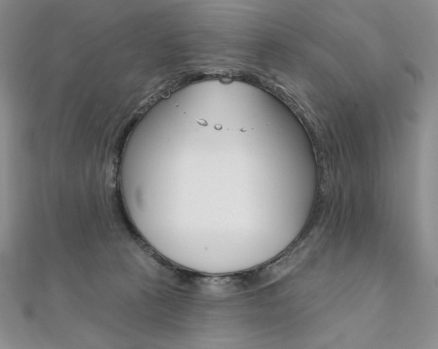 X0000112020273200908031047