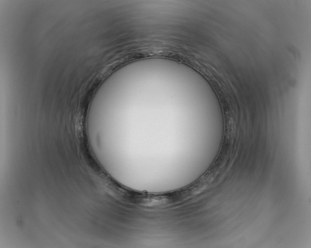 X0000112020274200908031047