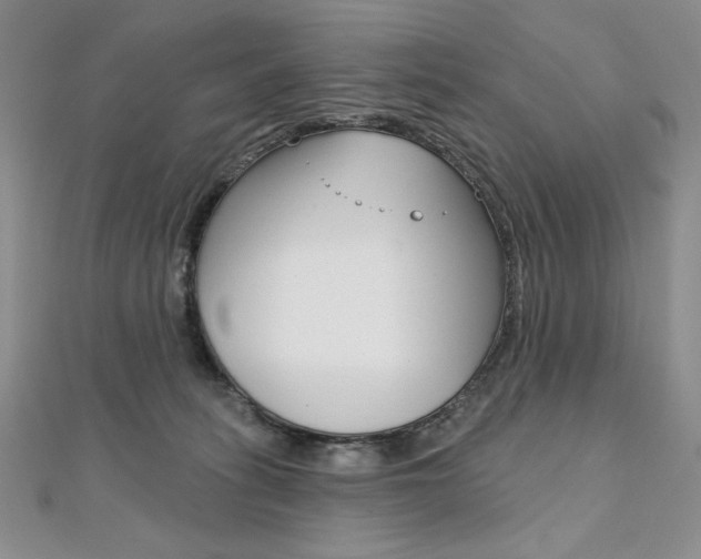 X0000112020275200908031048