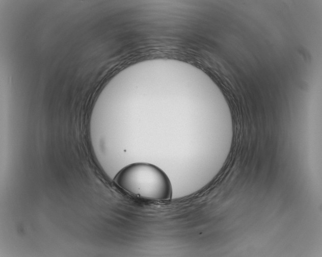 X0000112020276200908031048