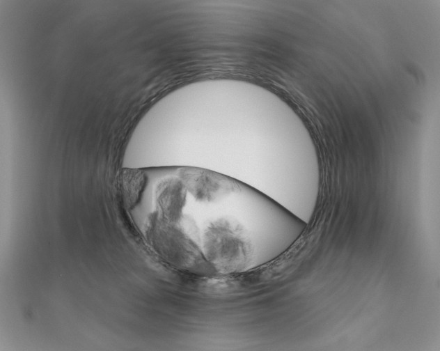 X0000112020277200908031048