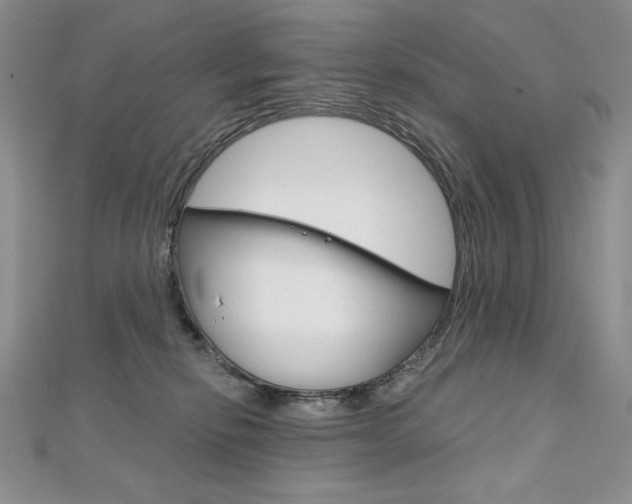 X0000112020278200908031048