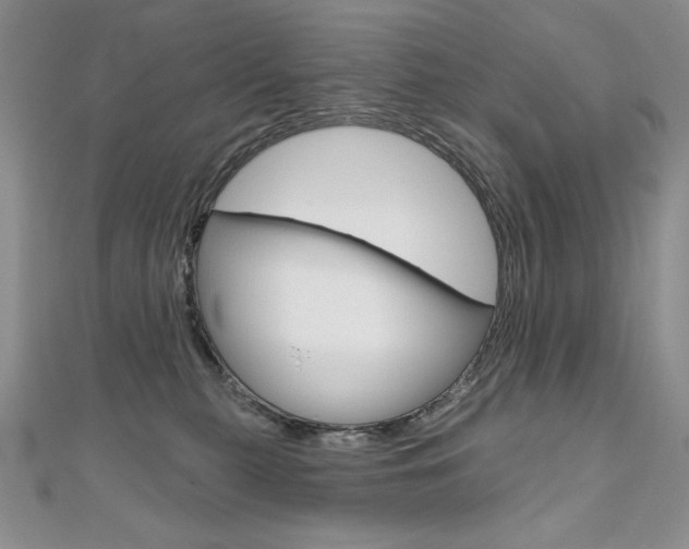 X0000112020279200908031048