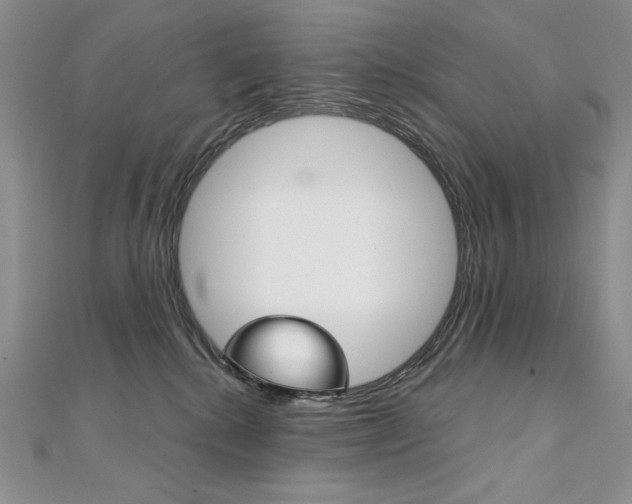 X0000112020280200908031048