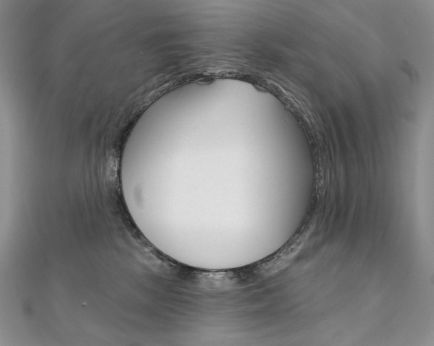 X0000112020281200908031048