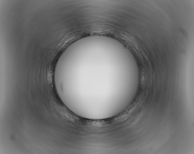 X0000112020282200908031048