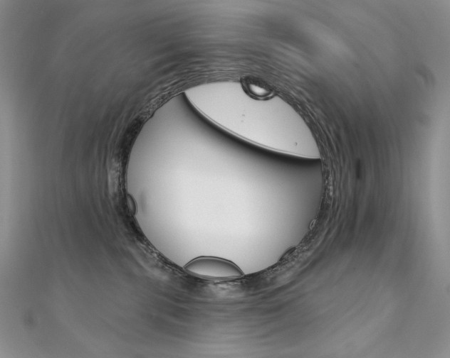 X0000112020283200908031048