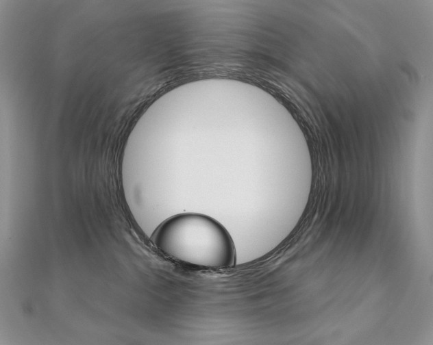 X0000112020284200908031048