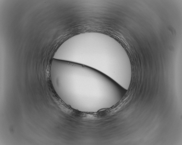 X0000112020285200908031048