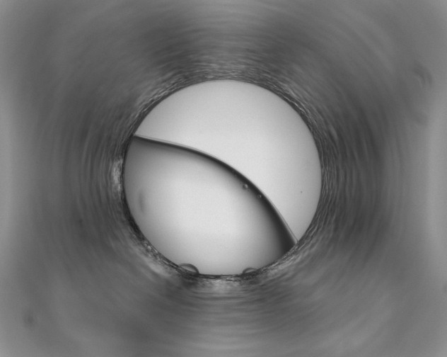 X0000112020286200908031048