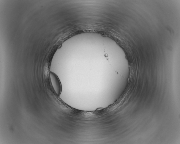 X0000112020287200908031048