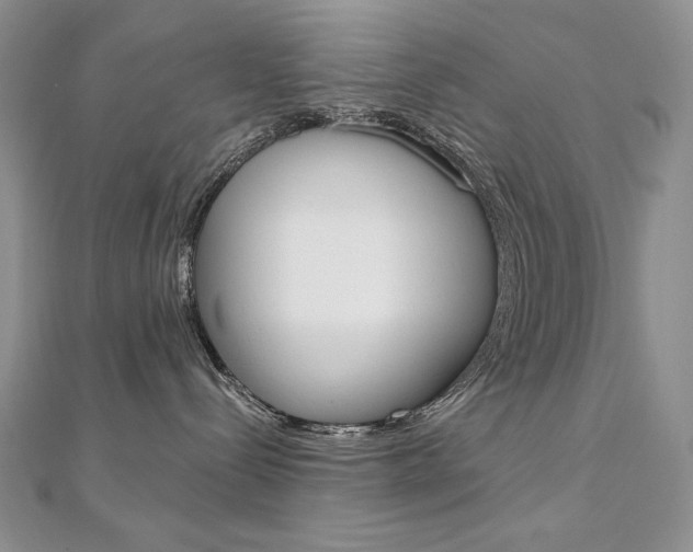 X0000112020288200908031048