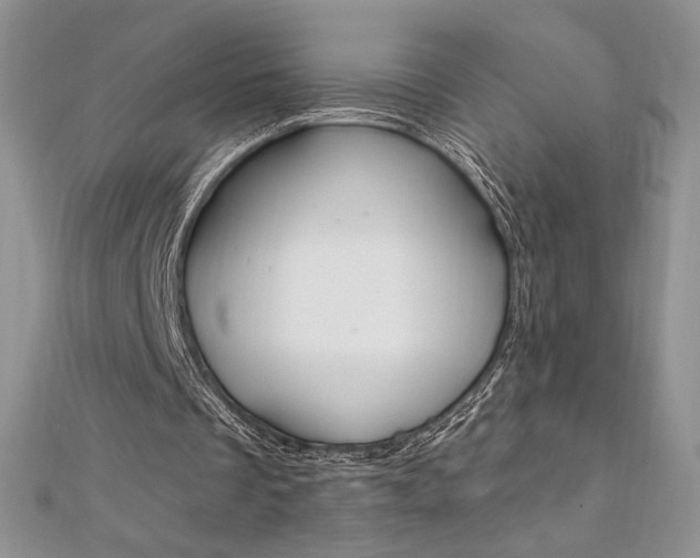 X0000112020289200908031047