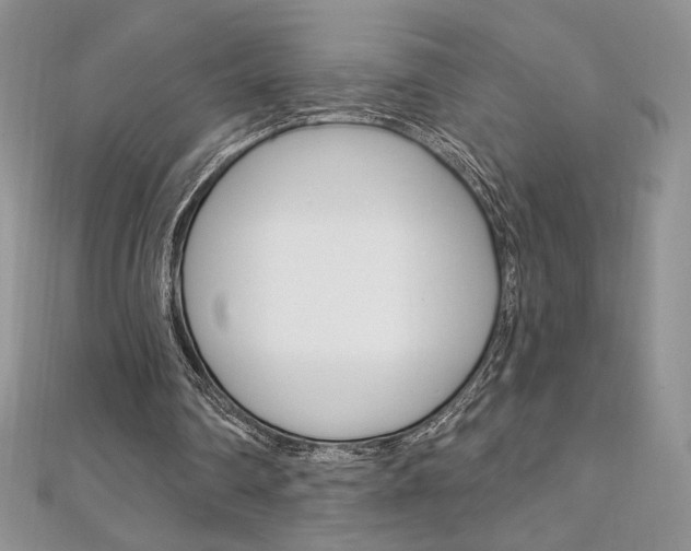 X0000112020290200908031047