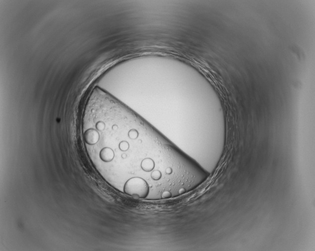 X0000112020291200908031047