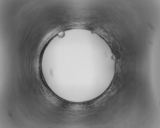 X0000112020293200908031047