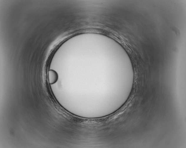 X0000112020294200908031047