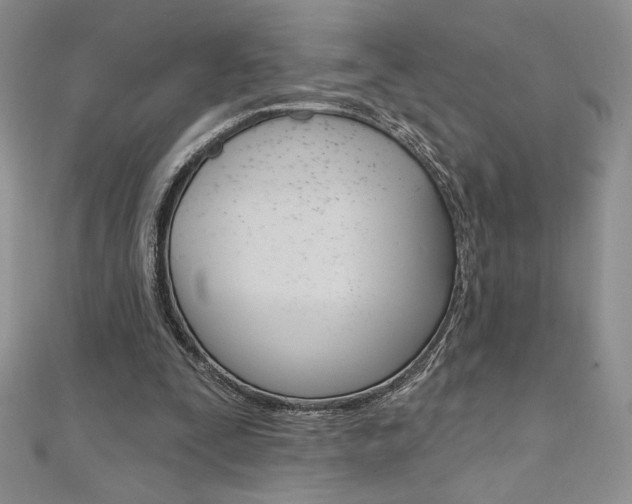 X0000112020295200908031047