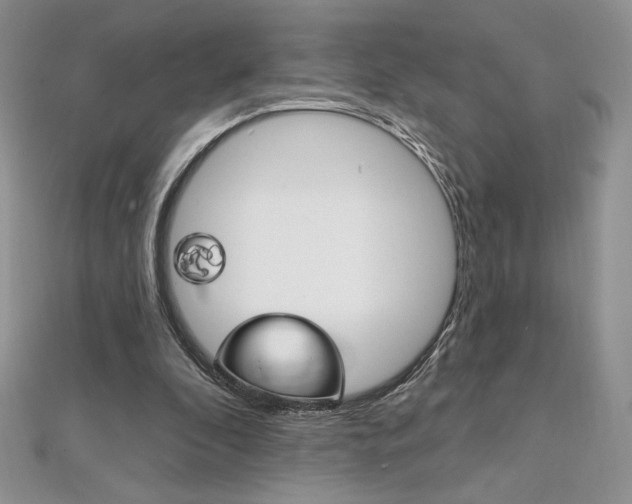 X0000112020296200908031047