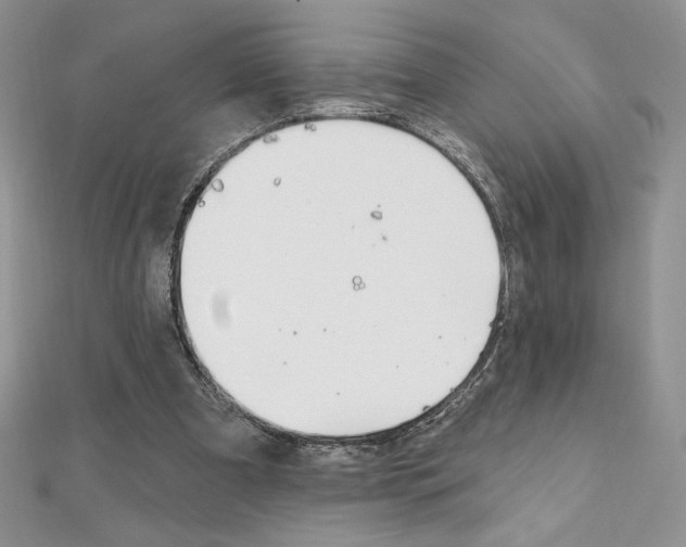 X0000112020297200908031047