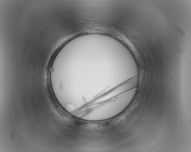 X0000112020298200908031047