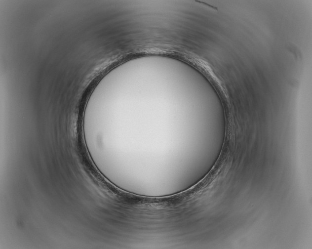 X0000112020299200908031047