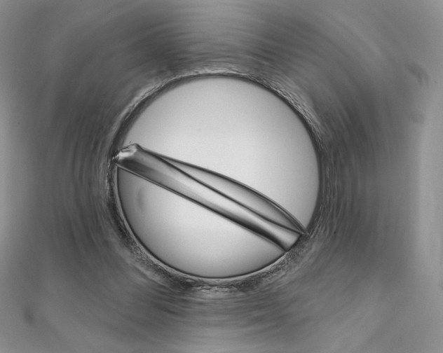 X0000112020300200908031047