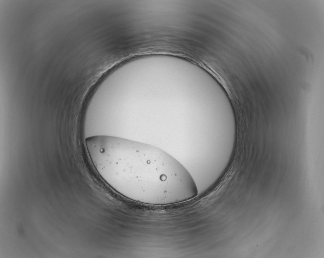 X0000112020301200908031047