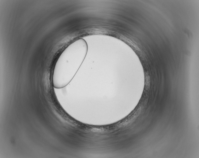 X0000112020302200908031047