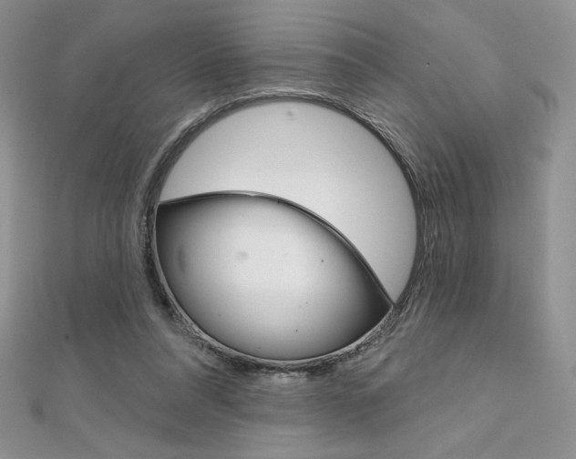 X0000112020304200908031047