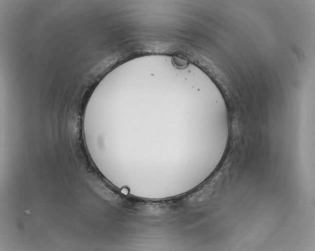 X0000112020305200908031047