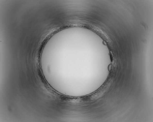 X0000112020306200908031047