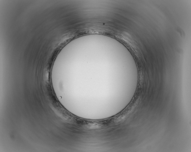 X0000112020310200908031047