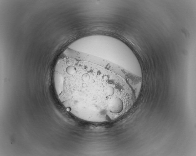 X0000112020311200908031047