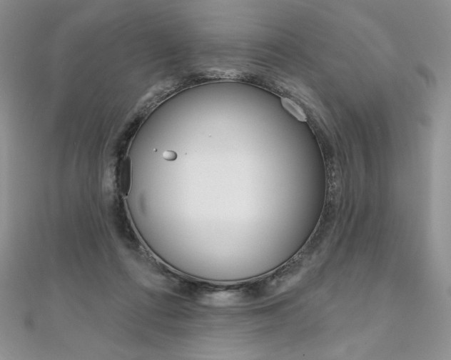 X0000112020312200908031047