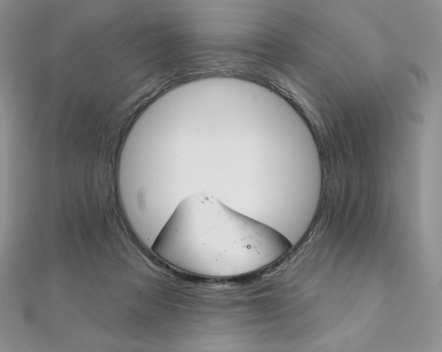 X0000112020313200908031047