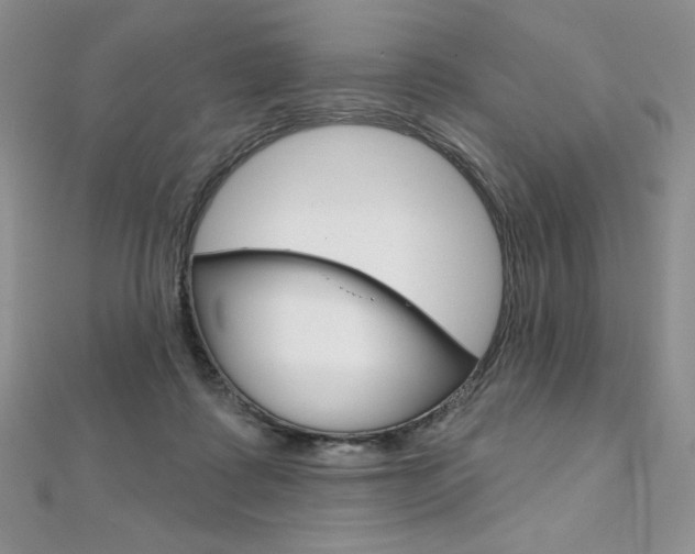 X0000112020315200908031047