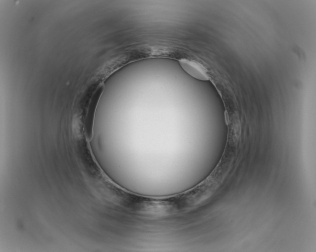 X0000112020316200908031047