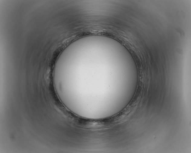 X0000112020319200908031047