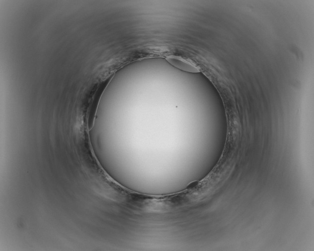 X0000112020320200908031047