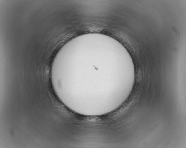 X0000112020321200908031047