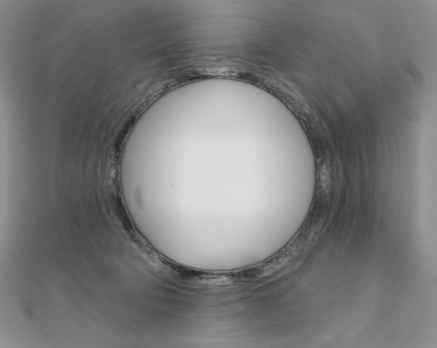 X0000112020322200908031047