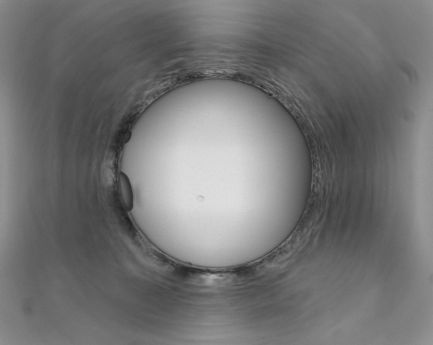 X0000112020323200908031047