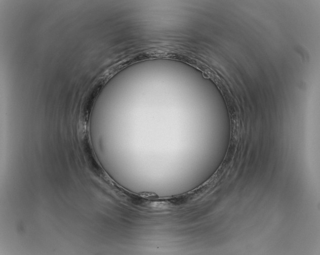 X0000112020324200908031047